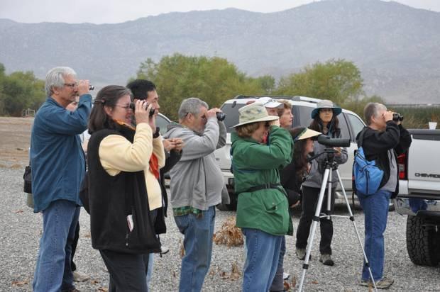 Bird watchers at San Jacinto Wetlands.