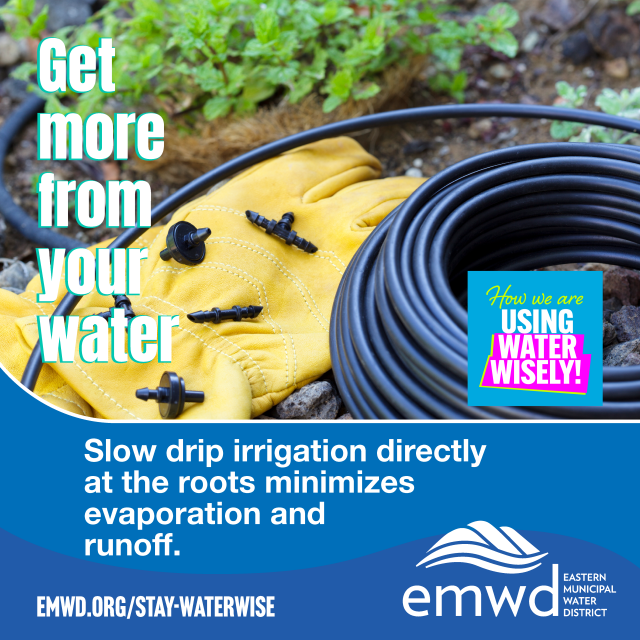 Get more from your water.  Slow drip irrigation directly at the roots minimizes evaporation and runoff.   How we are using water wisely!