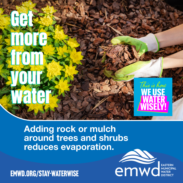 Get more from your water.  Adding rock or mulch around trees and shrubs reduces evaporation.  How we are using water wisely!