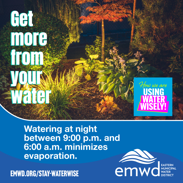 Get more from your water.  Watering at night between 9:00 p.m. and 6:00 a.m. minimizes evaporation.  How we are using water wisely!
