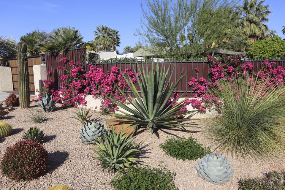 Waterwise Landscape Toolbox Eastern, Drought Tolerant Landscaping Companies