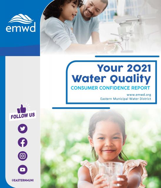 Consumer Confidence Report book cover 
