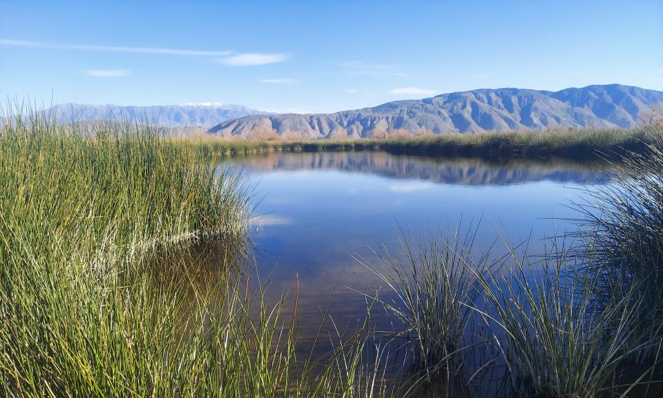 A beautiful view of EMWD's wetlands  with the majestic San Jacinto mountains in the distance