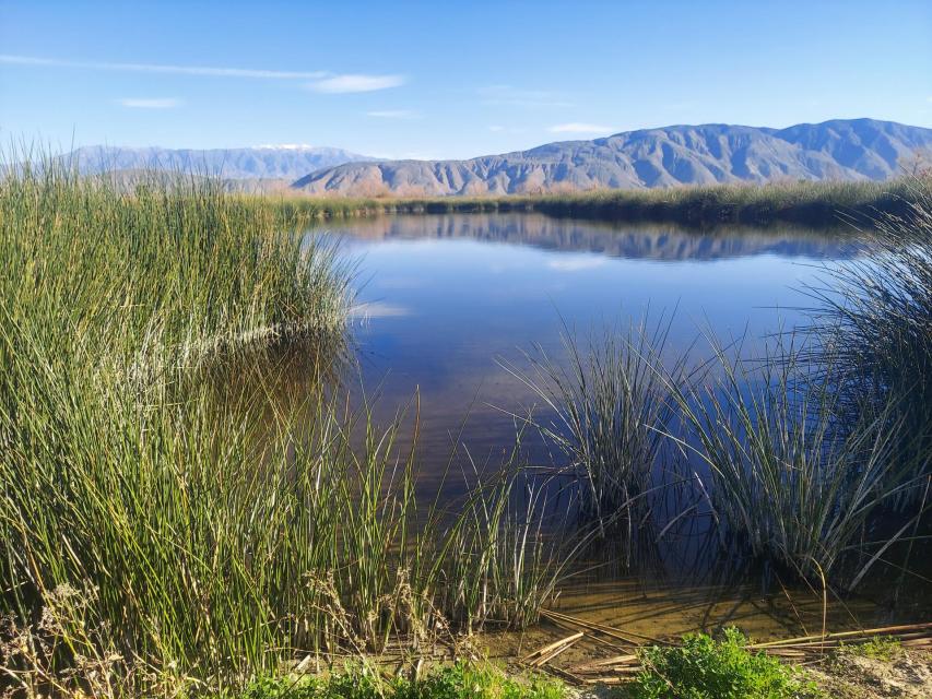 Water, brush and mountains at the San Jacinto Wetlands.